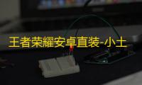 王者荣耀安卓直装-小土豆辅助
